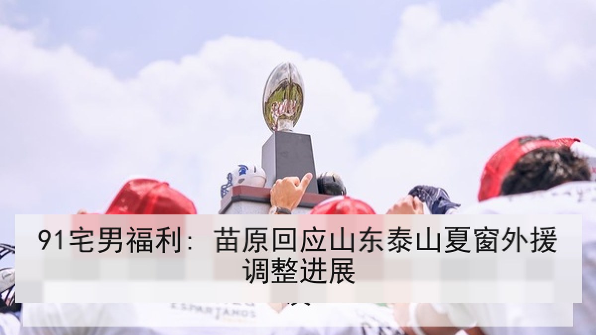 91宅男福利: 苗原回应山东泰山夏窗外援调整进展
