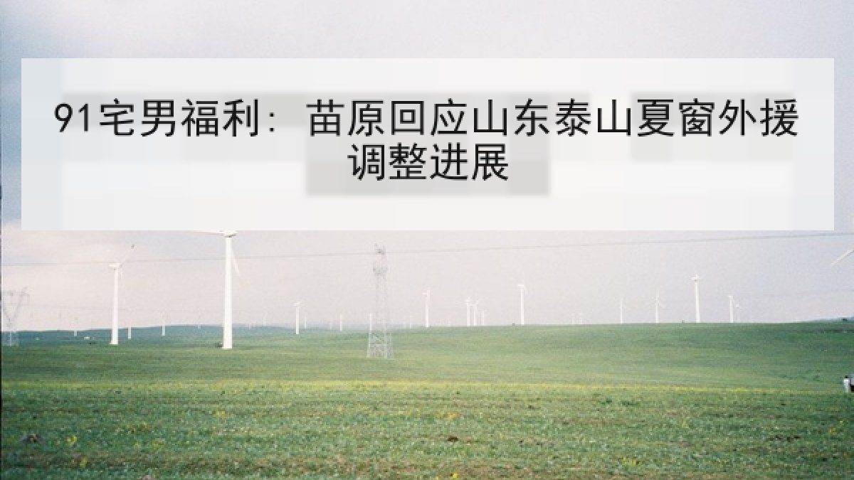 91宅男福利: 苗原回应山东泰山夏窗外援调整进展