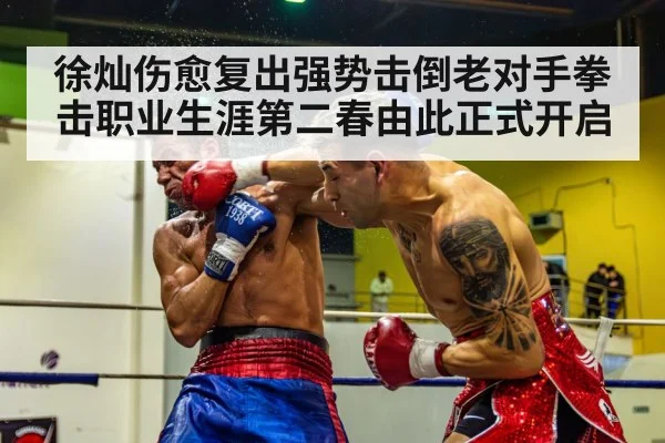 徐灿伤愈复出强势击倒老对手拳击职业生涯第二春由此正式开启